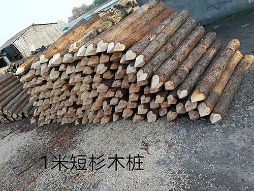 ɼľl(f)_(ki)?yn)ʲ?></div>
						 </a>
					 </li>

	 					<li id=
